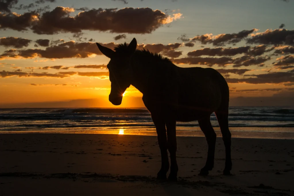 Sunrise in coffee bay, South Africa, 2015 - Anne-Laure Guéret photography