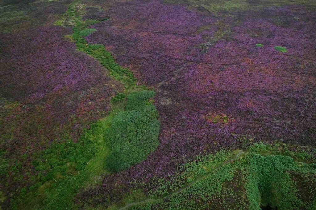 Lonely heart Scotland, drone view Anne-Laure Guéret photography